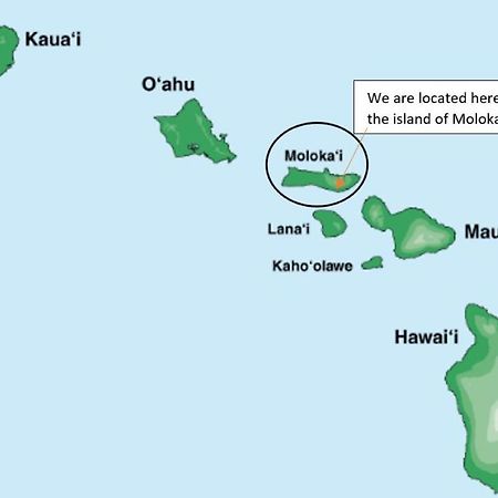 Molokai Island Retreat With Beautiful Ocean Views And Pool - Newly Remodeled! Apartment Ualapue Екстериор снимка